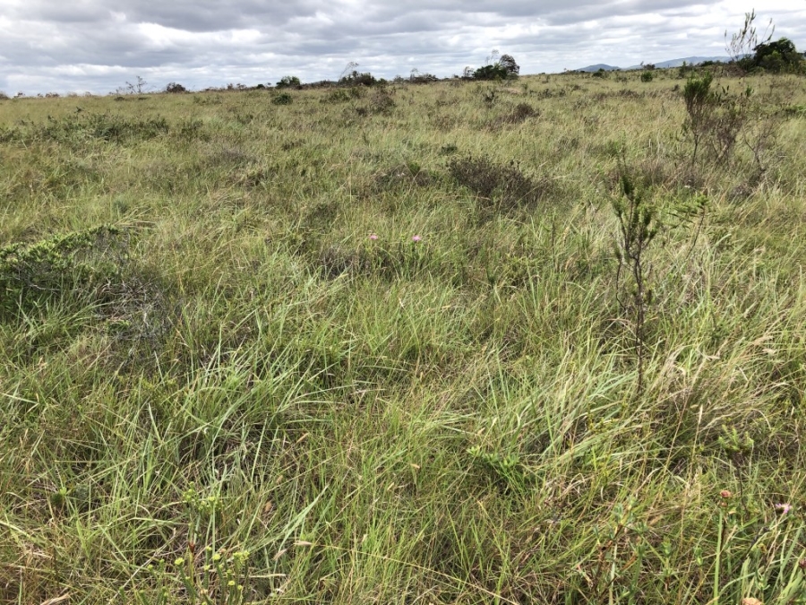 Commercial Property for Sale in Bathurst Rural Eastern Cape